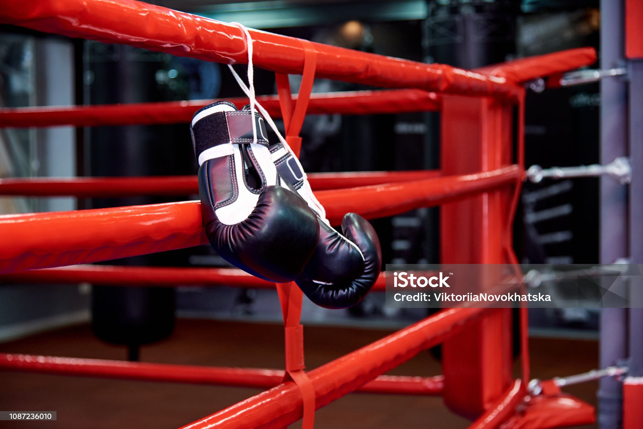 Boxing gloves in a boxing ring with bags in the gym.